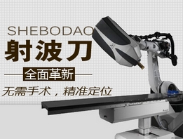 �䲨������