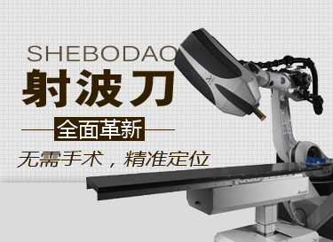 �䲨�����ƵĹ���