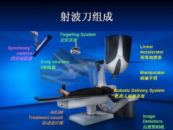 �䲨�����